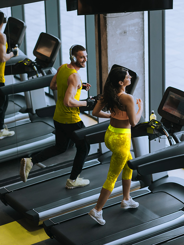 logisticagym