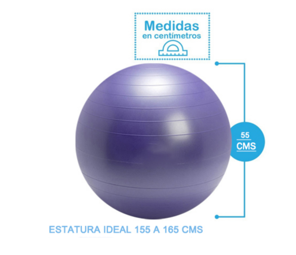 BALÓN 55 cm Ø MORADO